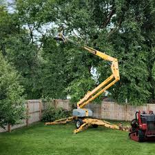 Landscape Design and Installation in Contra Costa Centre, CA