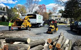 Best Aeration Services  in Contra Costa Centre, CA